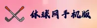 使用指南与常见问题